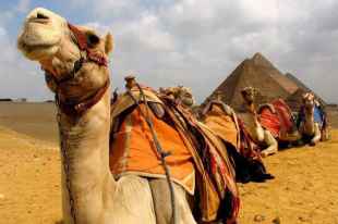 Stop Over Cairo 04D 03N